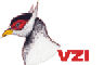 vzi2.gif (2525 Byte)